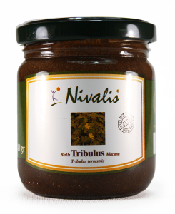 Nivalis Ballı Tribulus Demirdiken Terrestris Macunu 240 Gram